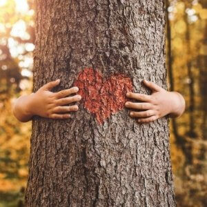 Tree love